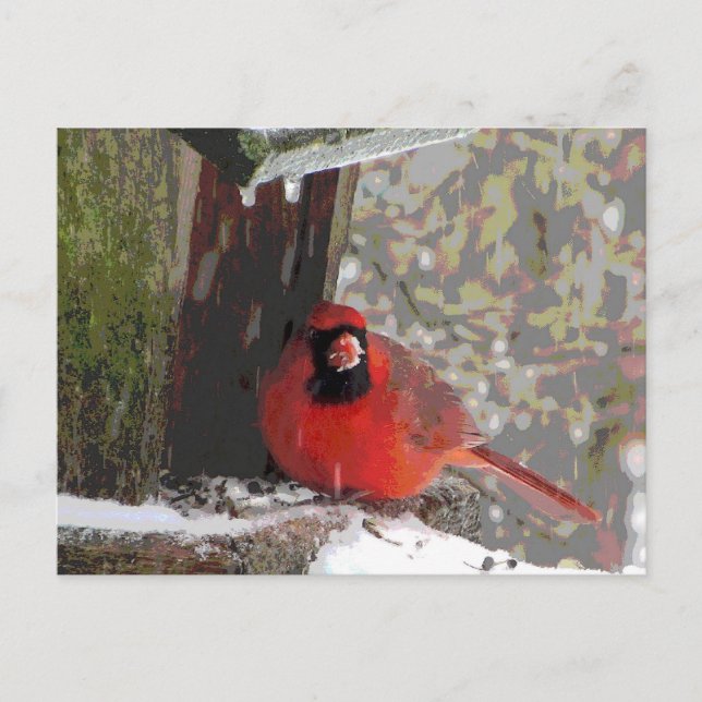 Cardinal at the Feeder Postcard (Front)