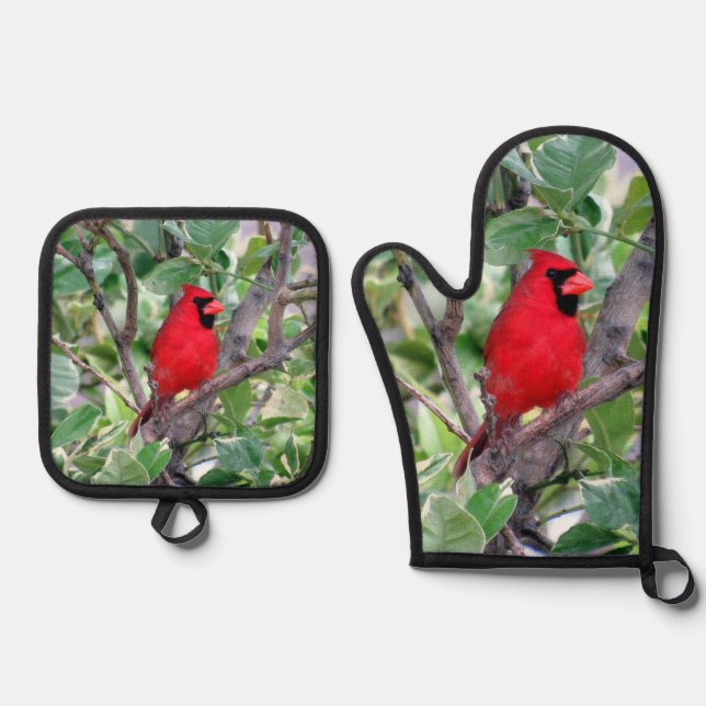 Cardinal - Backyard Bird Series -  Oven Mitt & Pot Holder Set (Front)