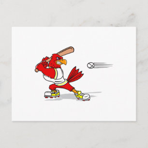 Cardinal Baseball Player Postcard