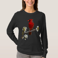 CARDINAL Best HD Northern Cardinal Bird Red Cardin