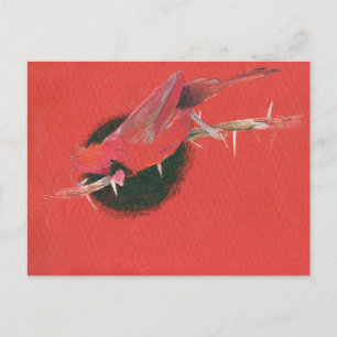 Cardinal bird animal illustration drawing red blac postcard