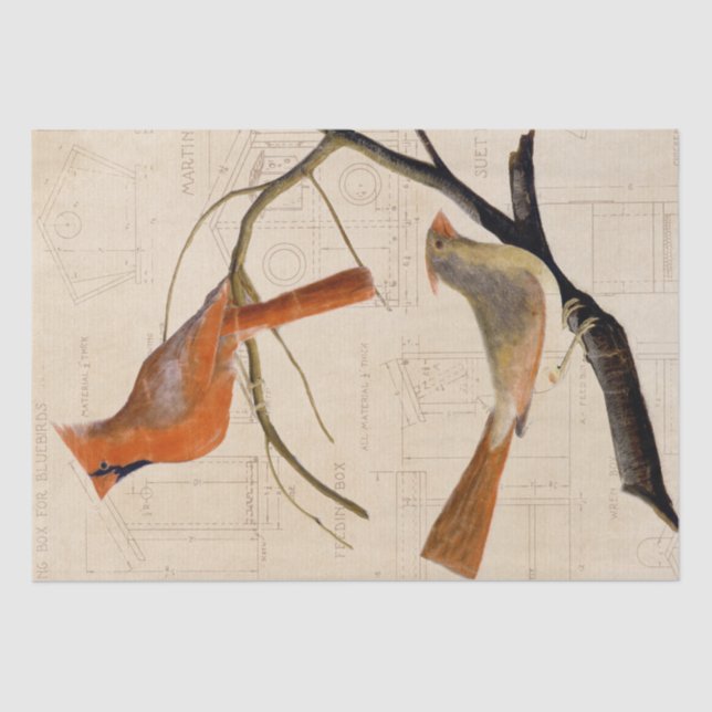 Cardinal Bird Birdhouse Blueprint Decoupage Red    Tissue Paper (Front)