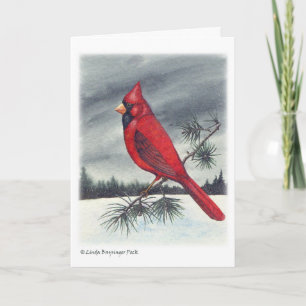Cardinal Bird Christmas Holiday Card