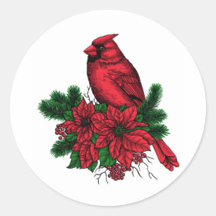 Cardinal bird, Christmas illustration Classic Round Sticker