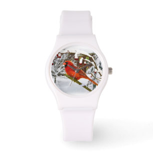 Cardinal Bird in the Snow Watch