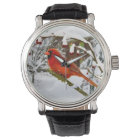 Cardinal Bird in the Snow