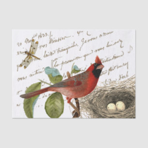 Cardinal Bird Nest Dragonfly French Script Music  Tissue Paper