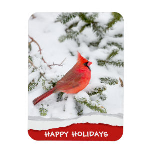 Cardinal Bird on Snow Custom Happy Holidays Magnet