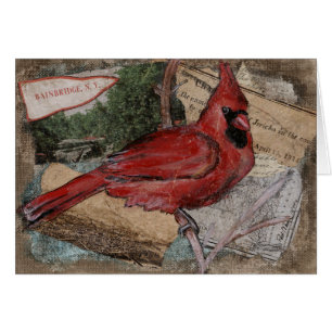 Cardinal Bird painting