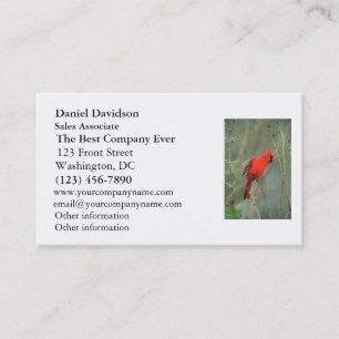 Cardinal Bird Photo Business Card