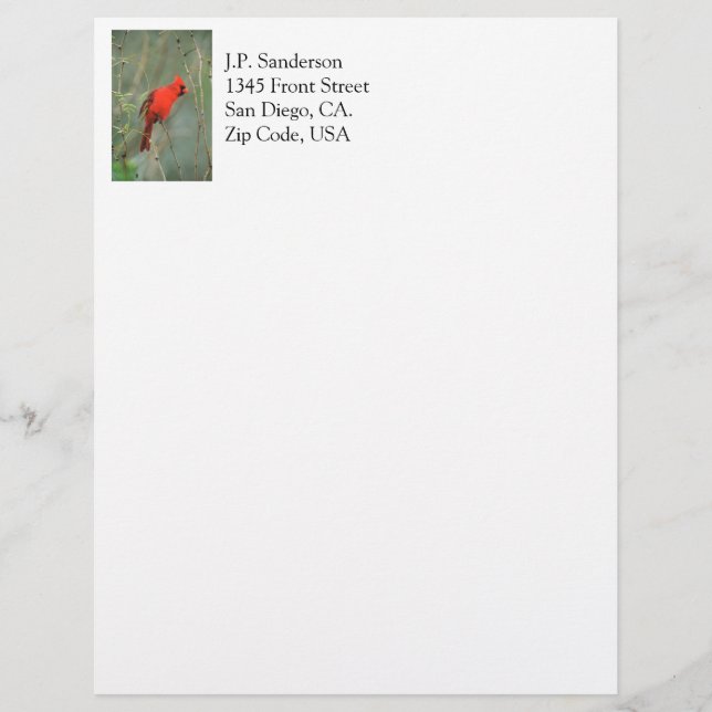 Cardinal Bird Photo Letterhead Design (Front)