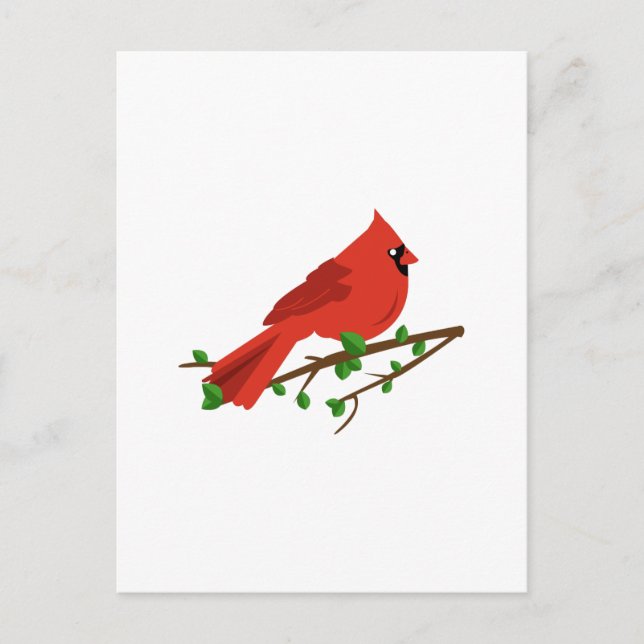 Cardinal Bird Postcard (Front)