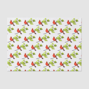 Cardinal Bird Red  Tissue Paper