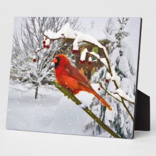 Cardinal Bird, Snow, Winter Plaque