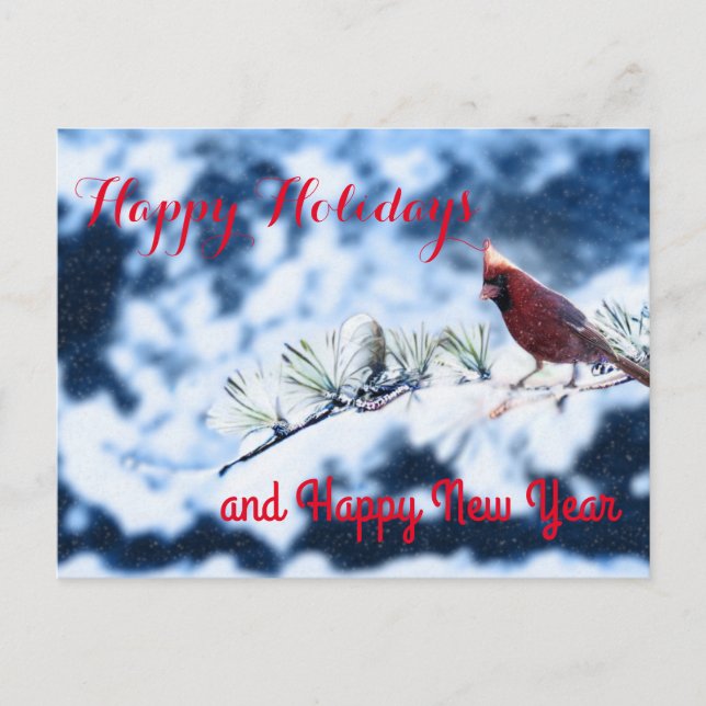 Cardinal Bird Snowy Branch Post Card (Front)