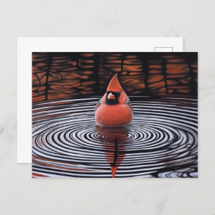 Cardinal Bird Taking a Bath Postcard