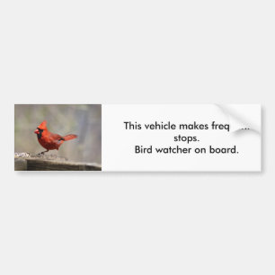 Cardinal Bird Watcher bumper sticker