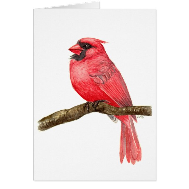 Cardinal bird watercolor (Front)