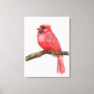 Cardinal bird watercolor canvas print
