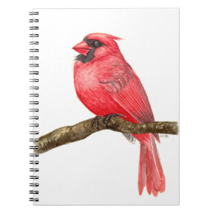 Cardinal bird watercolor notebook