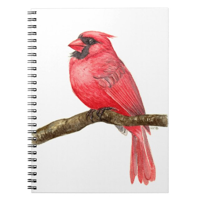 Cardinal bird watercolor notebook (Front)