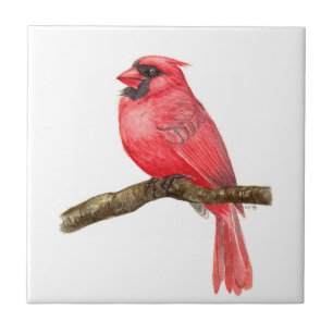 Cardinal bird watercolor tile
