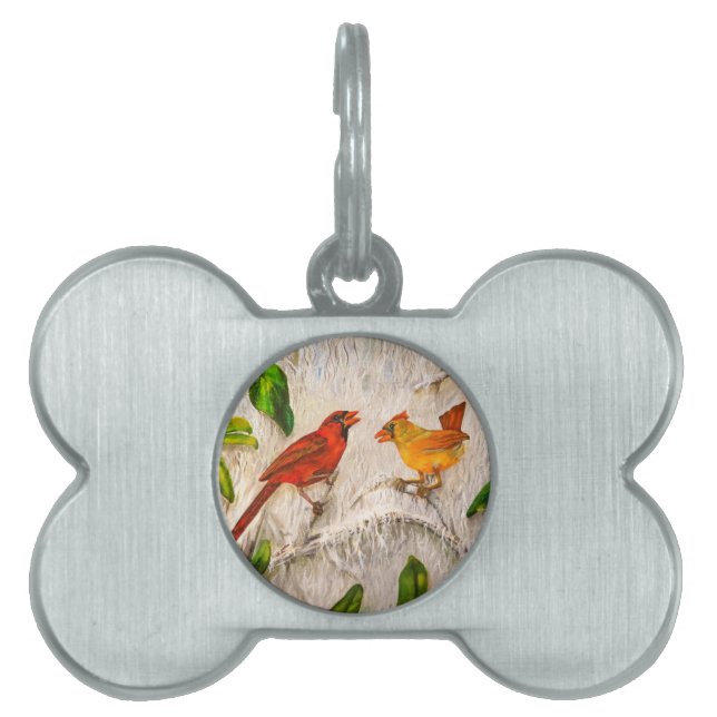 Cardinal birds. Singing of love Pet Tag (Front)
