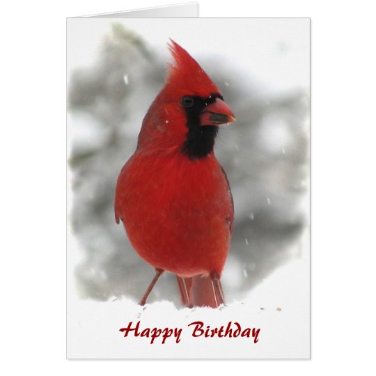 Cardinal Birthday Card