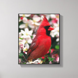 Cardinal Canvas Print