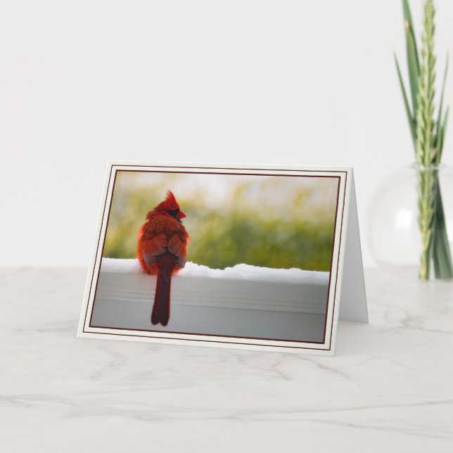 Cardinal Card (Front)