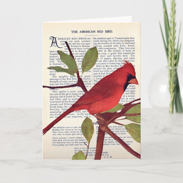 Cardinal Card (Front)