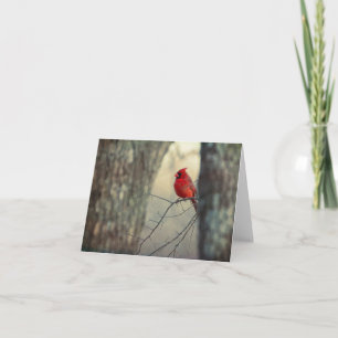Cardinal  card