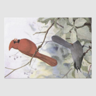 Cardinal Catbird Vintage Bird Decoupage Nature     Tissue Paper