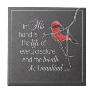 Cardinal Ceramic Tile