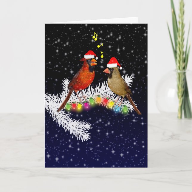 Cardinal Christmas Card (enter your own message) (Front)
