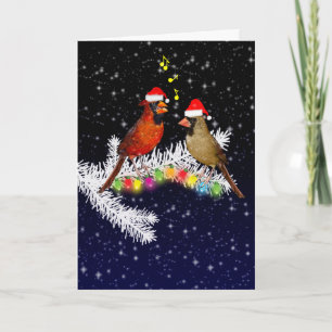 Cardinal Christmas Card (enter your own message)