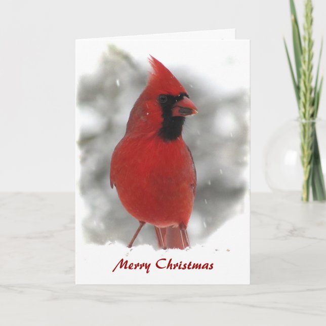 Cardinal Christmas Cards (Front)