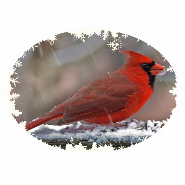 Cardinal Christmas Hanging Acrylic Photo Sculpture Decoration (Front)