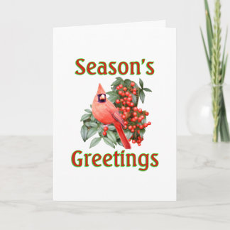 Cardinal Christmas Holiday Card