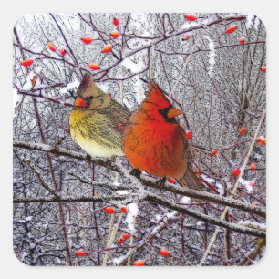 Cardinal Christmas Stickers