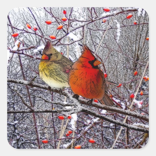 Cardinal Christmas Stickers (Front)