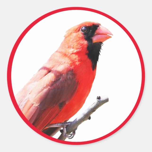 Cardinal Classic Round Sticker (Front)