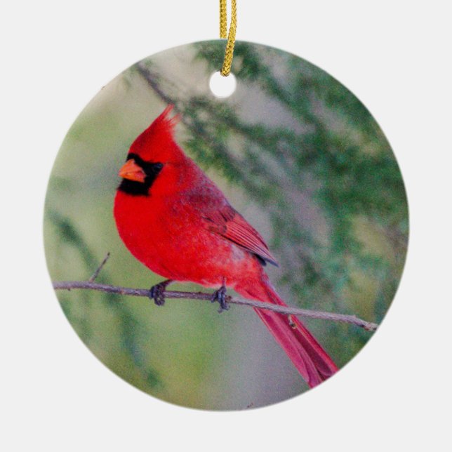 Cardinal Contrast Ceramic Tree Decoration (Front)