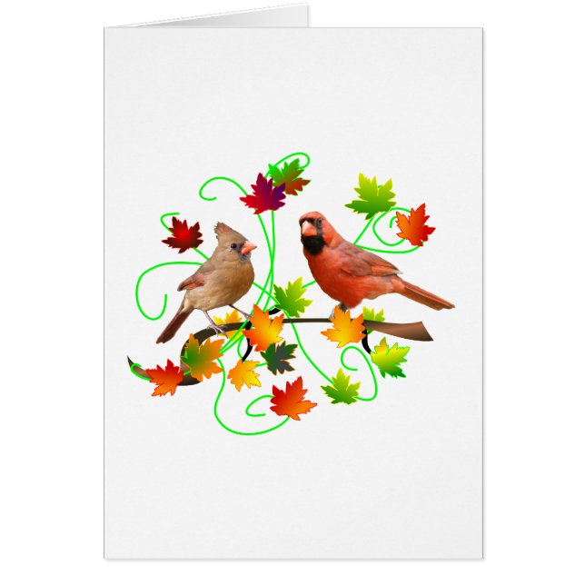 Cardinal Couple (Front)