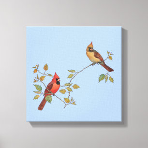 Cardinal Couple Canvas Print