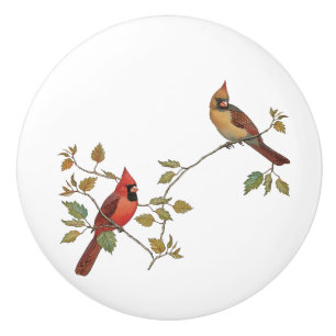 Cardinal Couple Ceramic Knob
