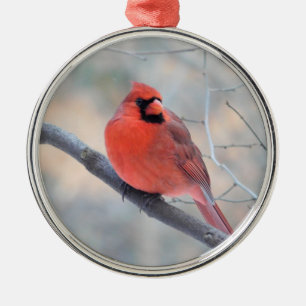 Cardinal Creek Custom Ornament