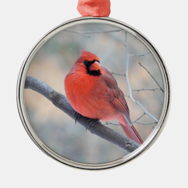 Cardinal Creek Custom Ornament (Front)