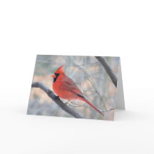 Cardinal Creek Profile Greeting Card