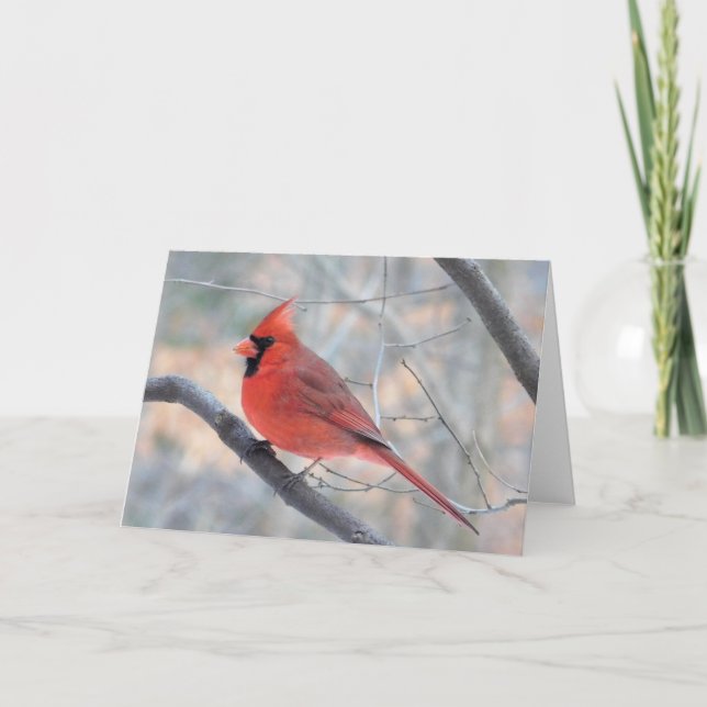 Cardinal Creek Profile Greeting Card (Front)